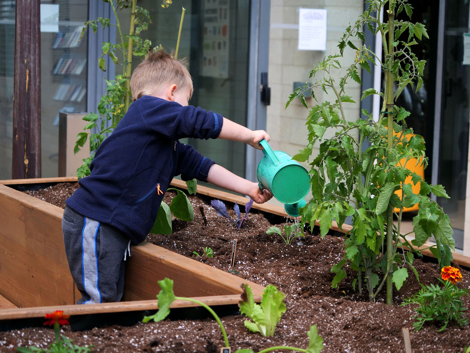 Atelier-permaculture-3